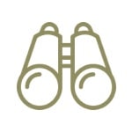 discover discovery of goals